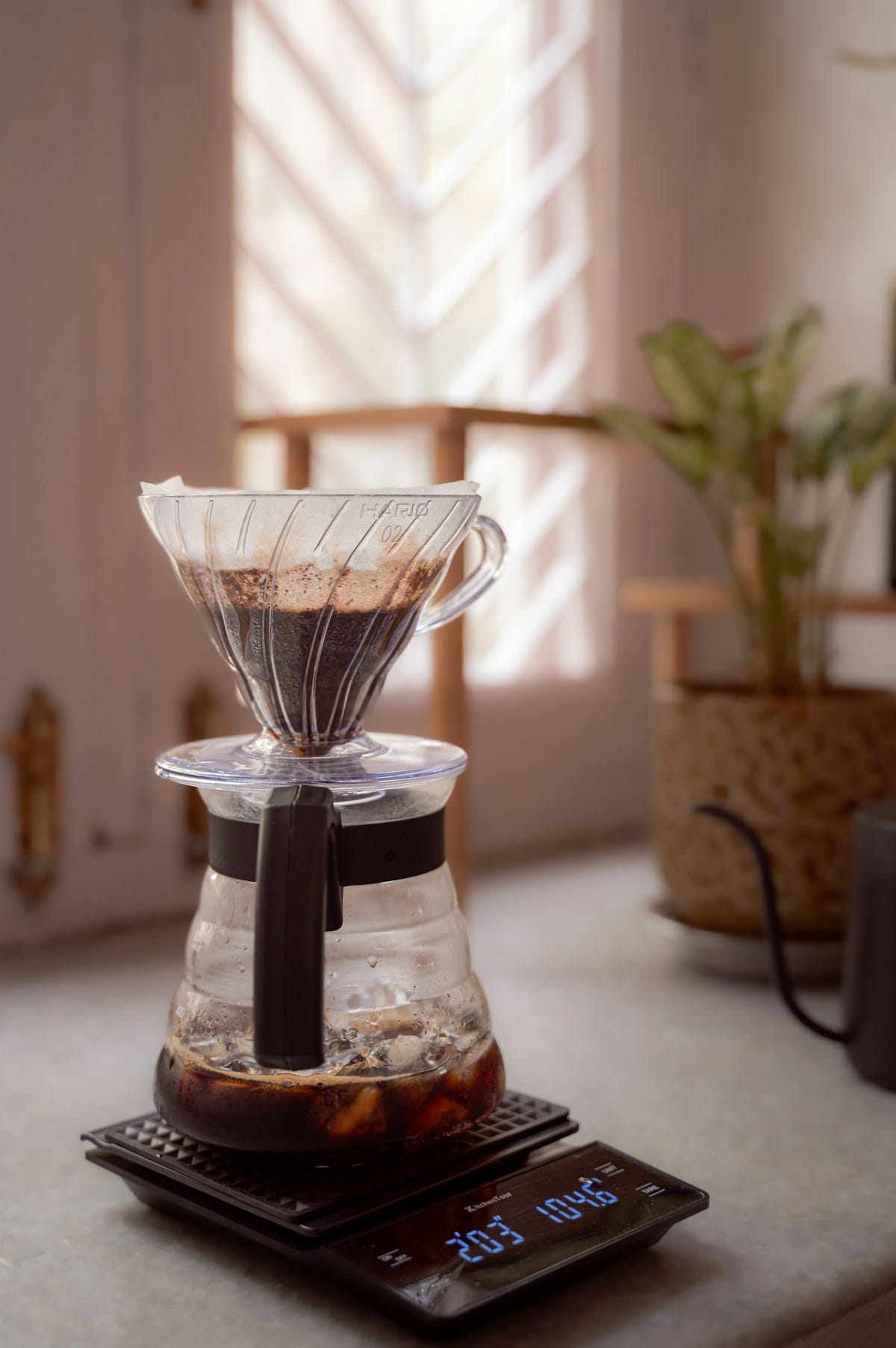 Kaffeewaagen im Test – 8 Modelle im direkten Vergleich